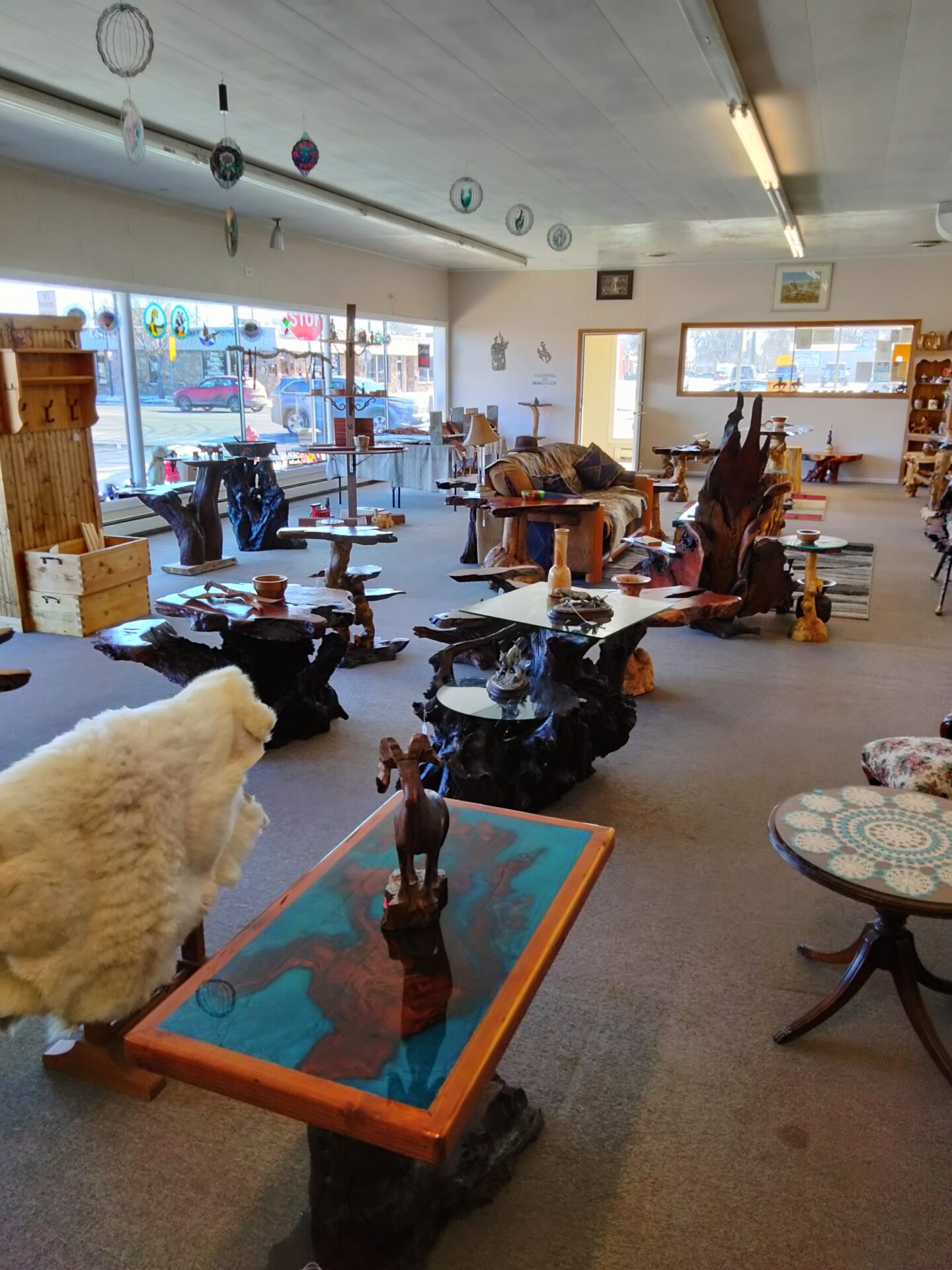 Pic of the inside of the showroom with multiple burl pieces on display.