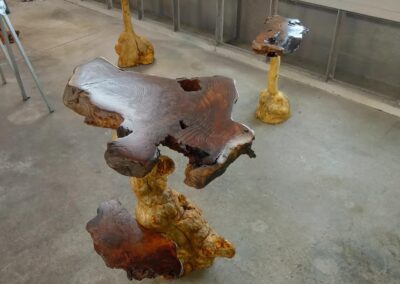 Rocky Mountain Burl work images